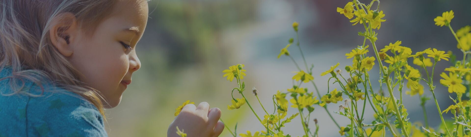 Toddler in a denim dress looking at yellow flowers in a field